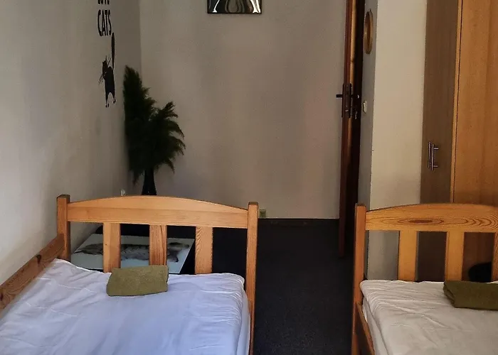 Green Cat Rooms